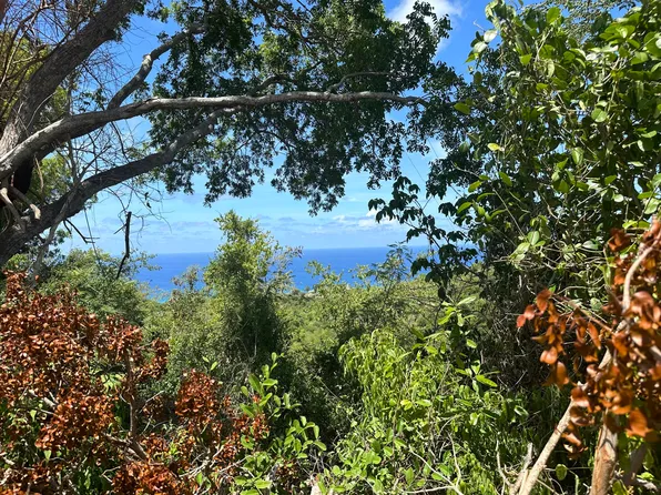 7-B Mt Washington WE, St. Croix, VI 00840