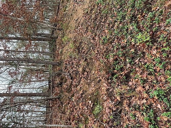 3rd image of 29 Dogwood Dr Lot Pt29