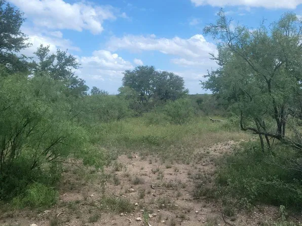 1003 Treadwell Ln, Menard, TX 76859