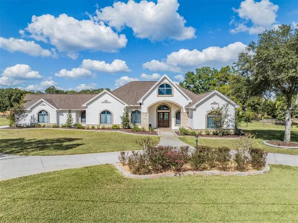 1716 Green Meadow Dr, Lutz, FL 33549