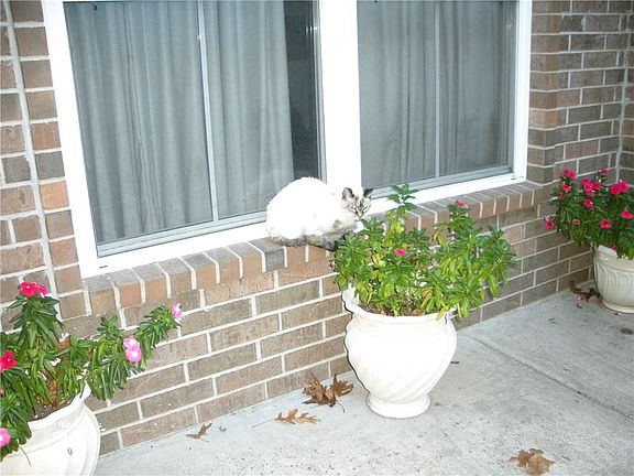 3rd image of 5 Cartmel Ln