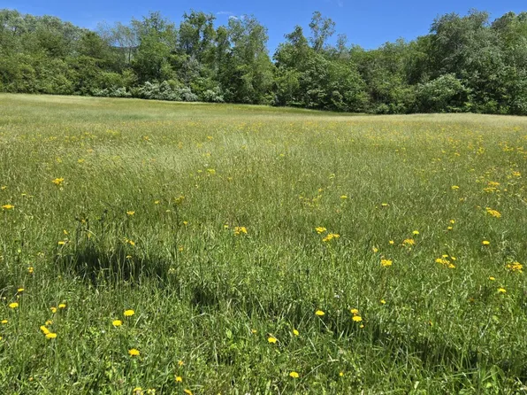 Unaka View Dr, Erwin, TN 37650