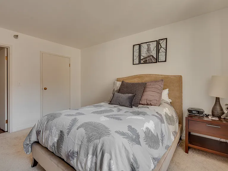 401 E Ontario St #1203 — Photo 11