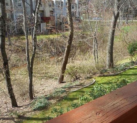 Winter view from deck