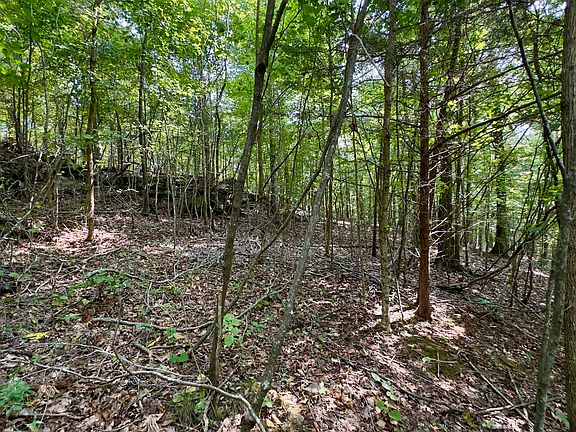 4th image of 500 Finley Rd