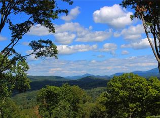 47 Curtain Blf #THE, Hendersonville, NC 28791
