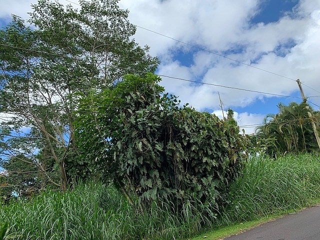 1st image of LOT 11 Pikake Dr Lot 11