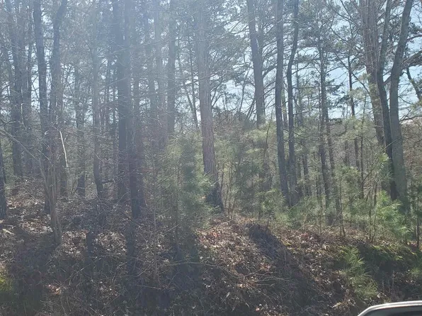 Pin 2973 Ridge Cir, Scottsboro, AL 35769