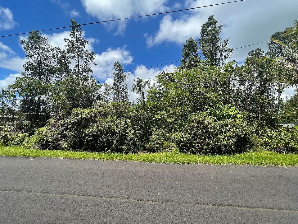 1st image of Anthurium Dr Lot 62