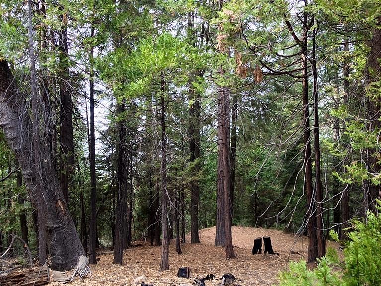 1st image of 6 Acres Lot 30