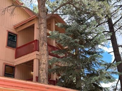 25 Jackson Hole Rd, Angel Fire, NM, 87710