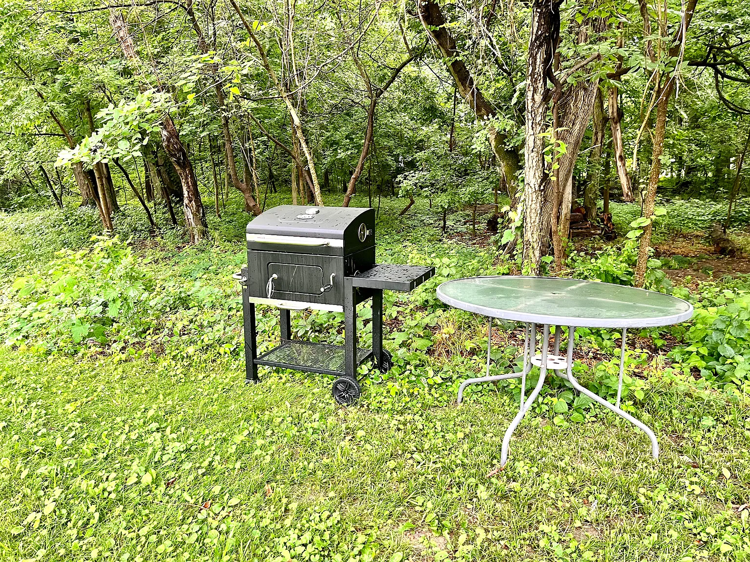 Central Ave, Coloma — Photo 4