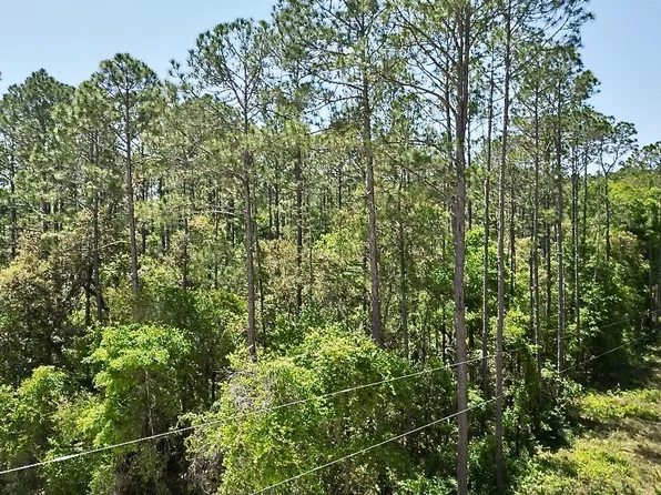 Vac Northeast St #899, Old Town, FL 32680