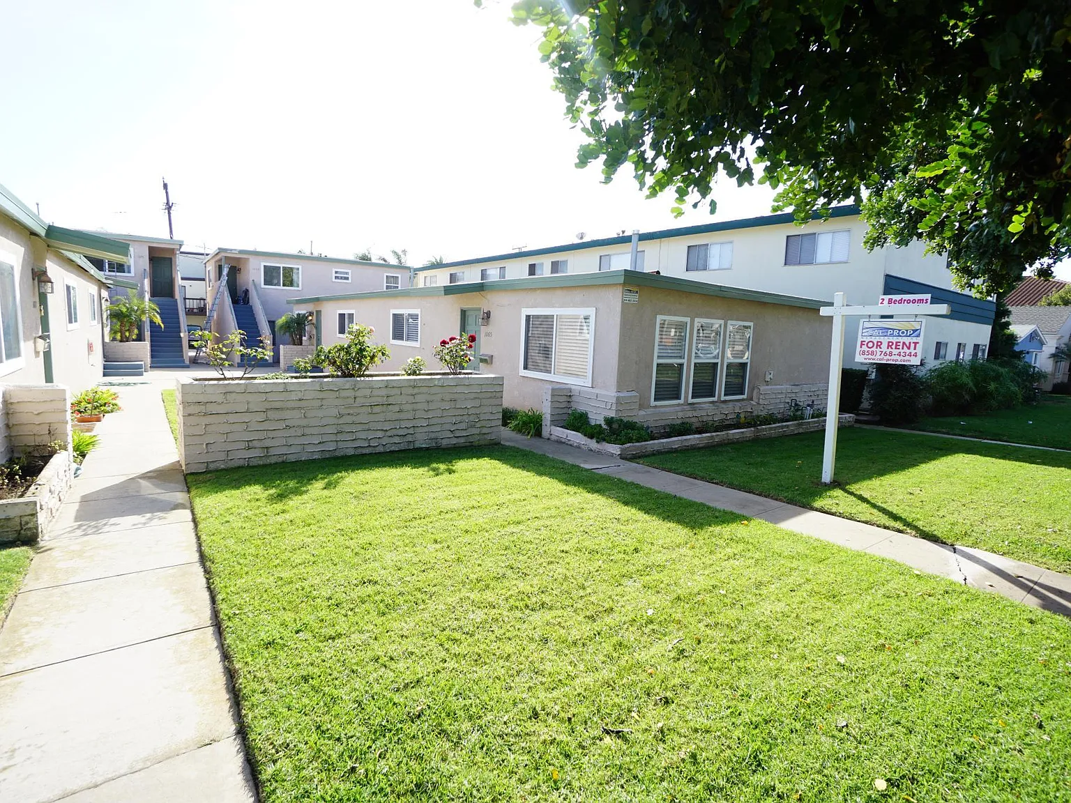 2 bed, 800 sqft, $3,300 — Photo 1