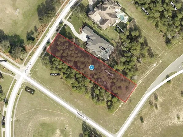 15000 Pendio Dr Lot 254, Montverde, FL 34756