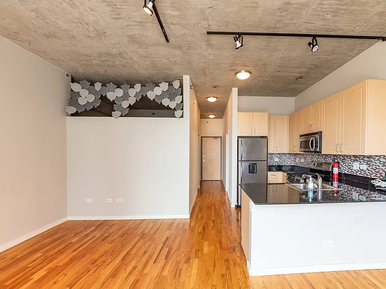 1620 S Michigan Ave #825 — Photo 5