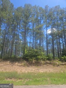 7 State Highway 123, Mitchell, GA, 30820
