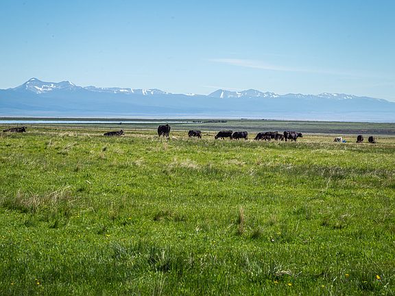 2nd image of Sunnyslope Land & Cattle Co