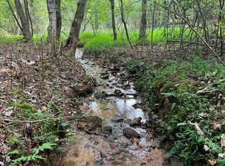 Pan Will Rd, Mineral Bluff, GA 30559