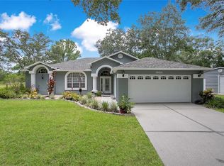 19616 Livingston Ave, Lutz, FL 33559