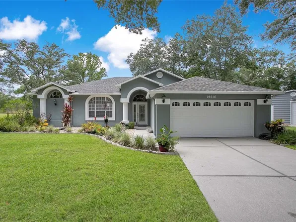 19616 Livingston Ave, Lutz, FL 33559