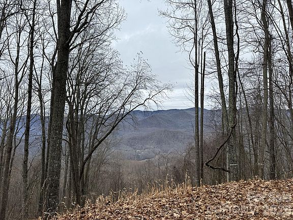 4th image of 768 Boar Ridge Rd #121
