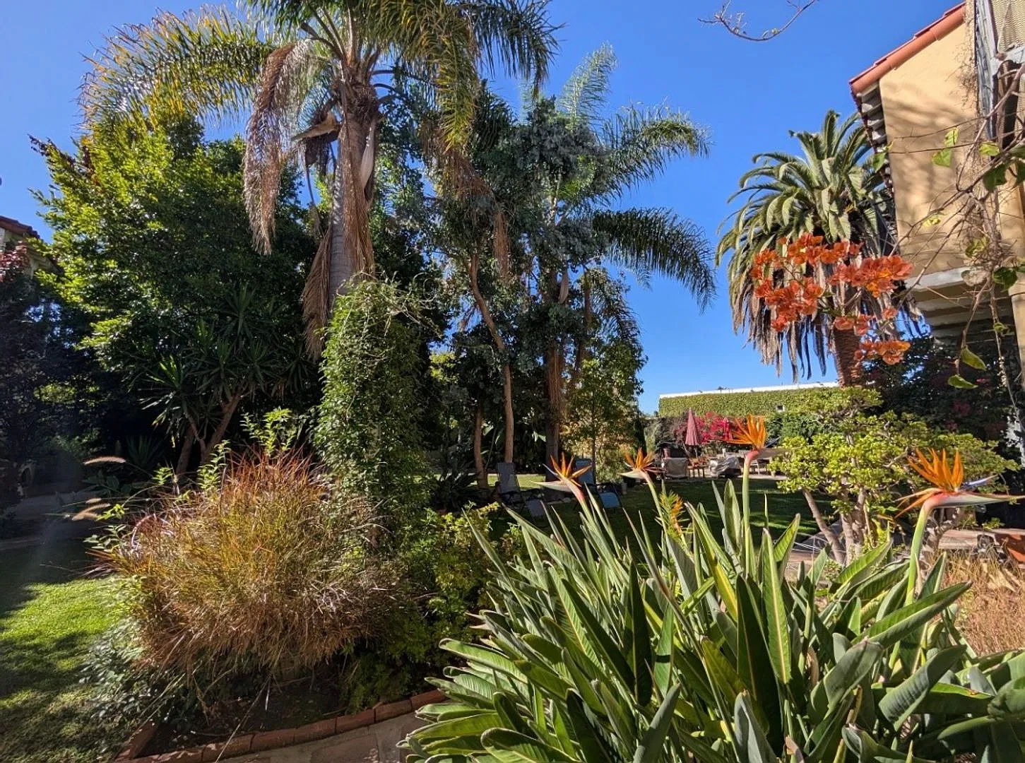 1081 Orange Grove Ops — Photo 2