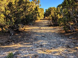 0 Twelvemile Cyn, Montello, NV 89830