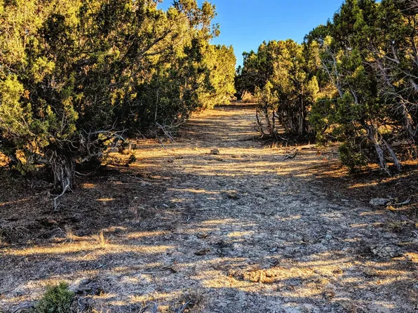 0 Twelvemile Cyn, Montello, NV 89830