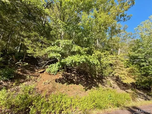 2161 S Lake Sherwood Dr, Lake Sherwood, MO 63357