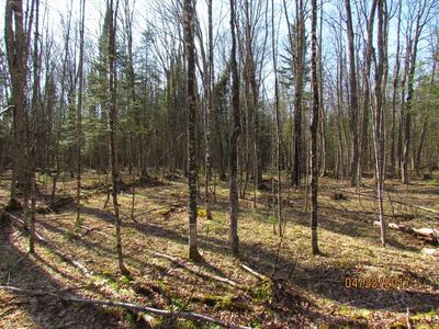 On Church Rd, Conover, WI, 54519