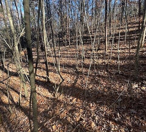 4th image of 271 Jada Ln Lot 27R1