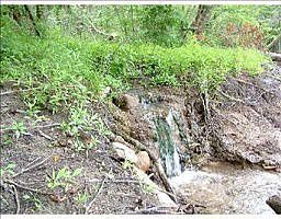 4th image of 8225 Huron River Dr