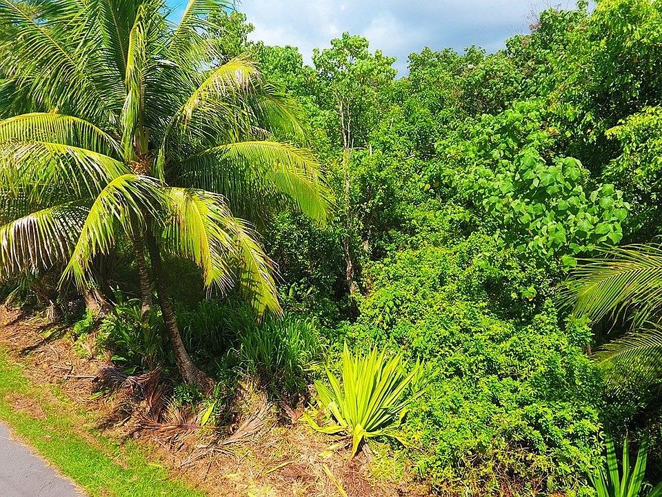 2nd image of 12-219 E Pohakupele Loop