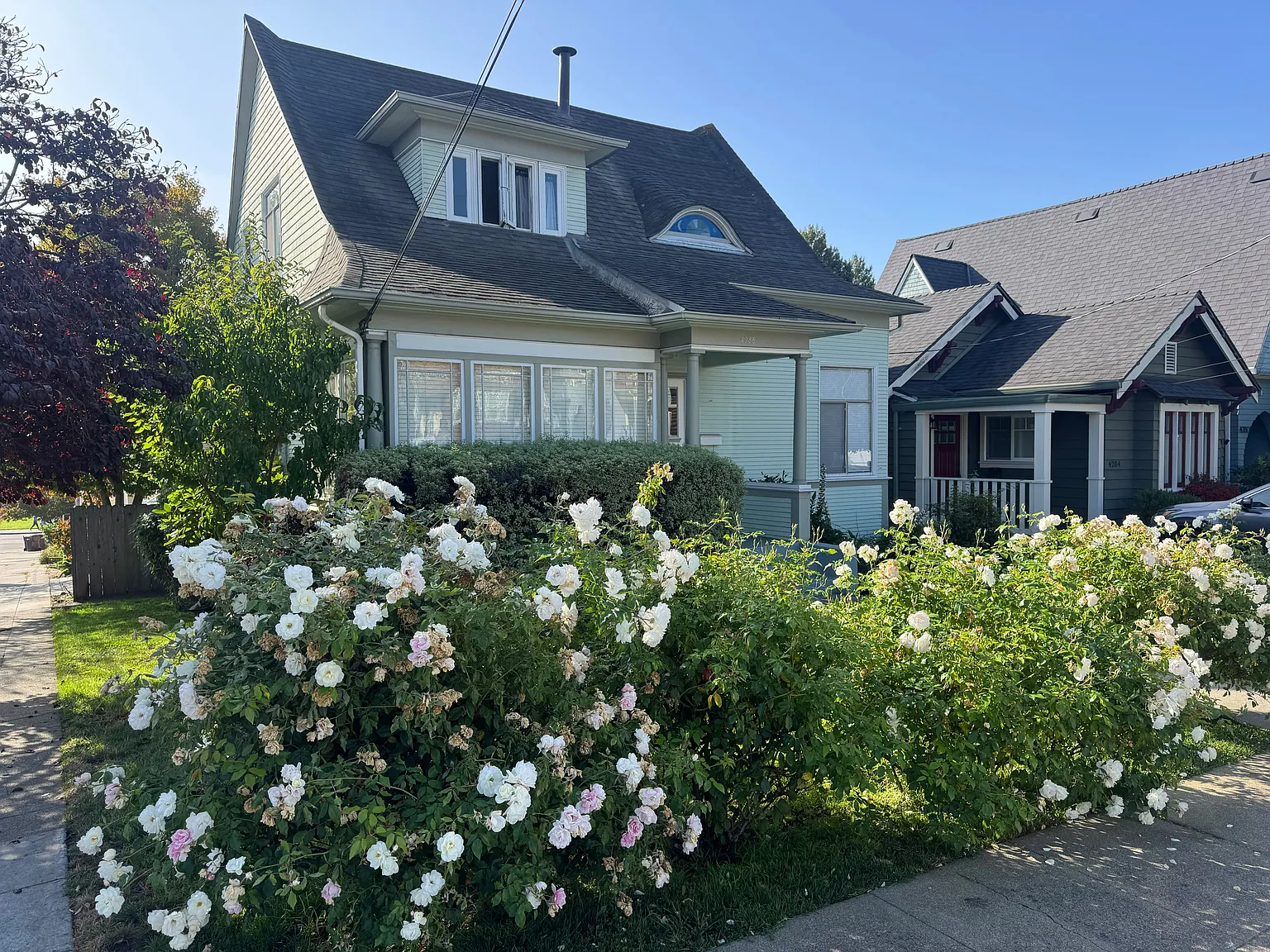 2 bed, $4,500 — Photo 4