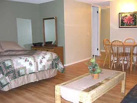 Studio, 481 sqft, $1,977 — Photo 4