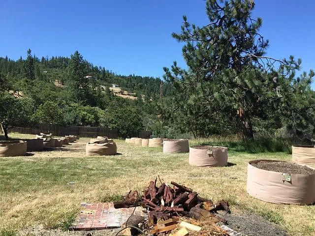 Studio, 4800 sqft, $3,000 — Photo 4