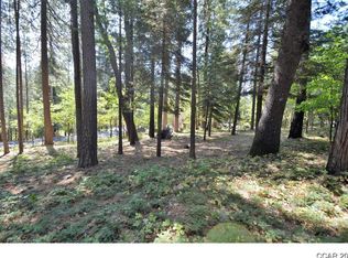 658 Moran Rd #219/2, Arnold, CA 95223