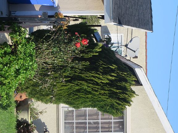 3rd image of 12313 221st St