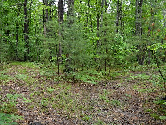 4th image of 0 Wheeler Oaks Dr