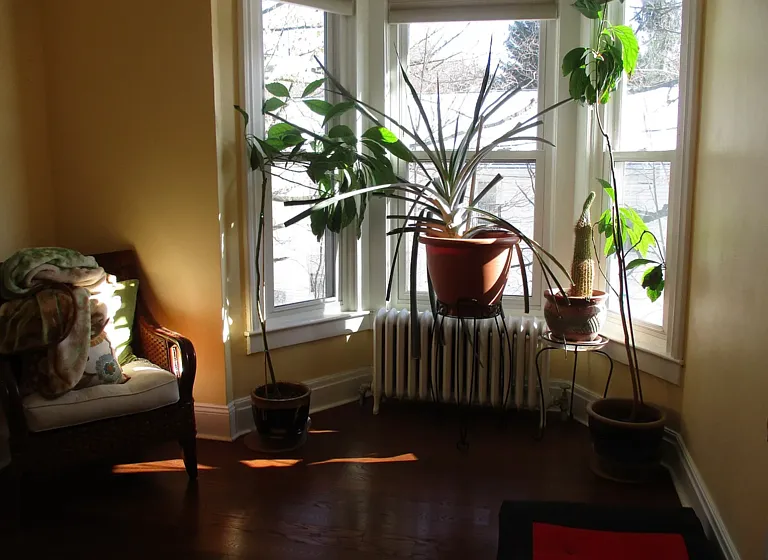 319 Hoosick St — Photo 16