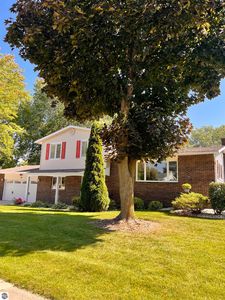 234 Purdy Dr, Alma, MI, 48801