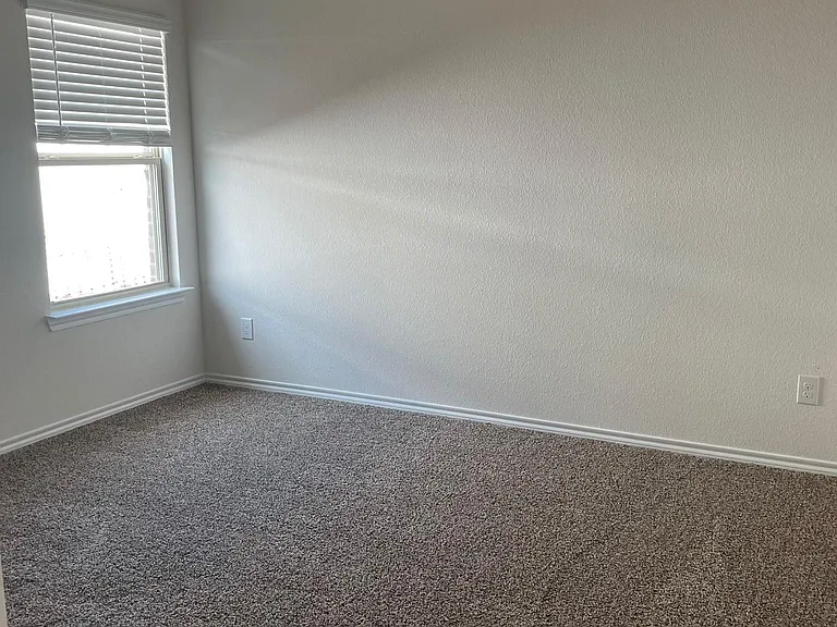 909 Basswood Ln — Photo 8