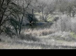 10307 Oak Valley Rd, Angels Camp, CA 95222