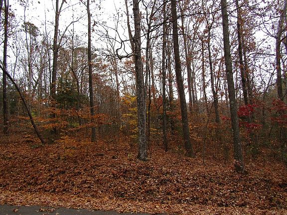 4th image of LOT 45 Peach Tree St Lot 45