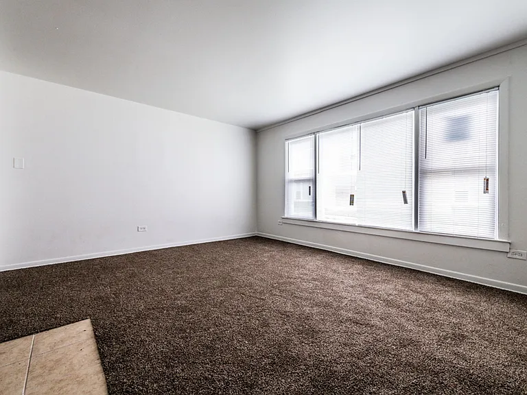 8851-8853 S Cottage Grove Ave Chicago, IL 60619 — Photo 12