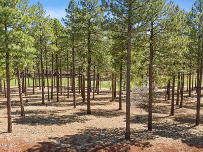 4150 S Lariat Loop, Flagstaff, AZ, 86005