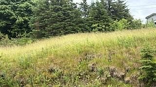 1st image of #37 Neary's Pond Road