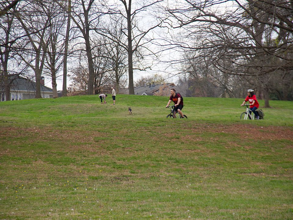 Freedom Park 