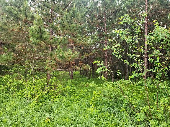 4th image of On Railroad Avenue Lots #2